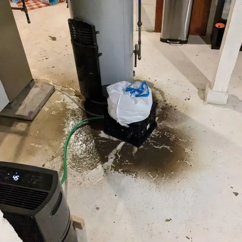 Sewage Backup Cleanup Service in Elmore, AL